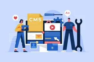 Content Management Systems